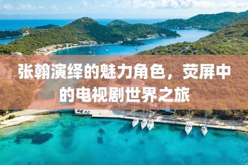 張翰演繹的魅力角色，熒屏中的電視劇世界之旅