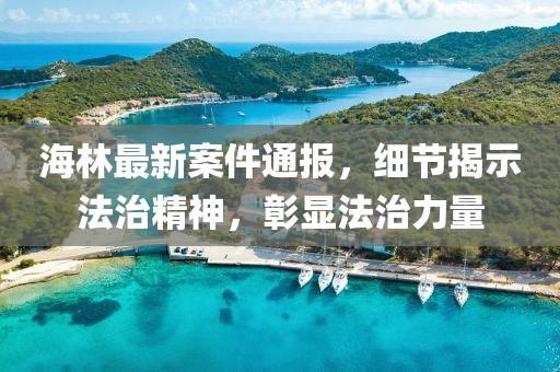 海林最新案件通報(bào)，細(xì)節(jié)揭示法治精神，彰顯法治力量