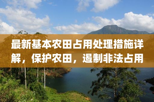最新基本農田占用處理措施詳解，保護農田，遏制非法占用