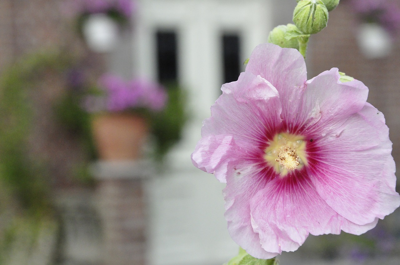 最新QQ動態(tài)語錄，感悟生活，記錄成長的瞬間