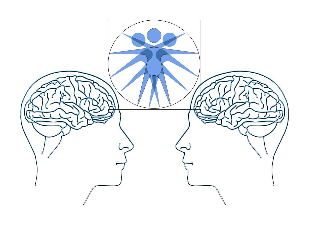 中牧山丹馬場最新動(dòng)態(tài)更新概況