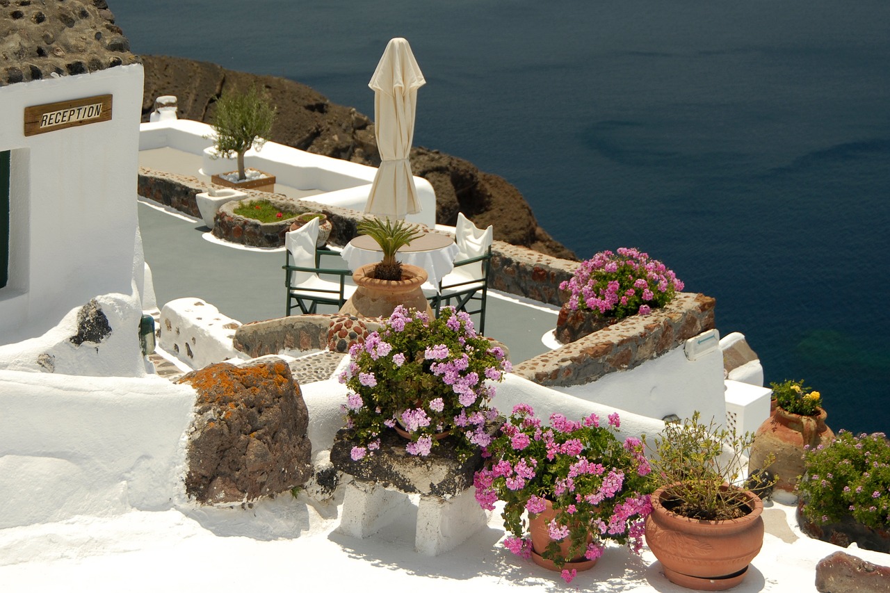 金灣航空新城蓬勃發(fā)展展望，最新動(dòng)態(tài)與未來展望