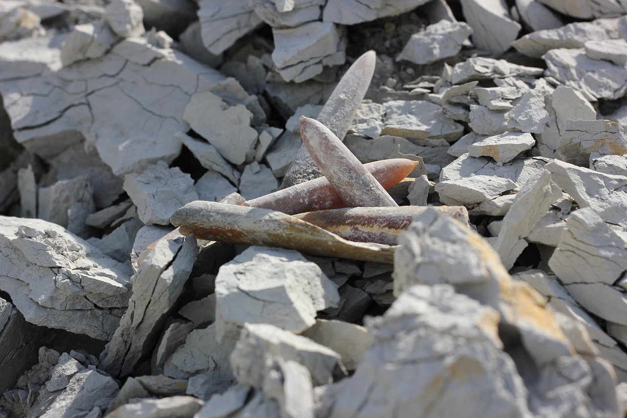 秦先生新動(dòng)態(tài)，展現(xiàn)時(shí)代潮流與多元風(fēng)采的引領(lǐng)者