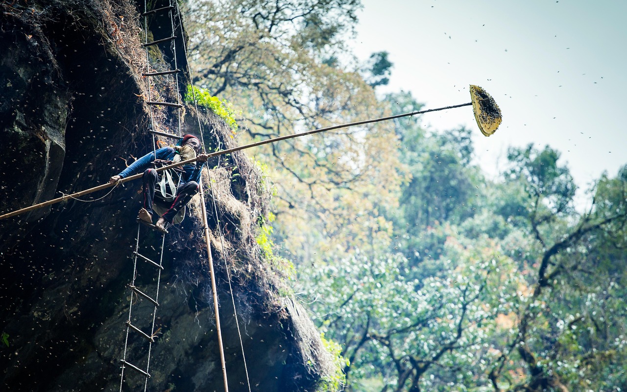 寧靜最新動態(tài)，音樂與生活的和諧共鳴之旅