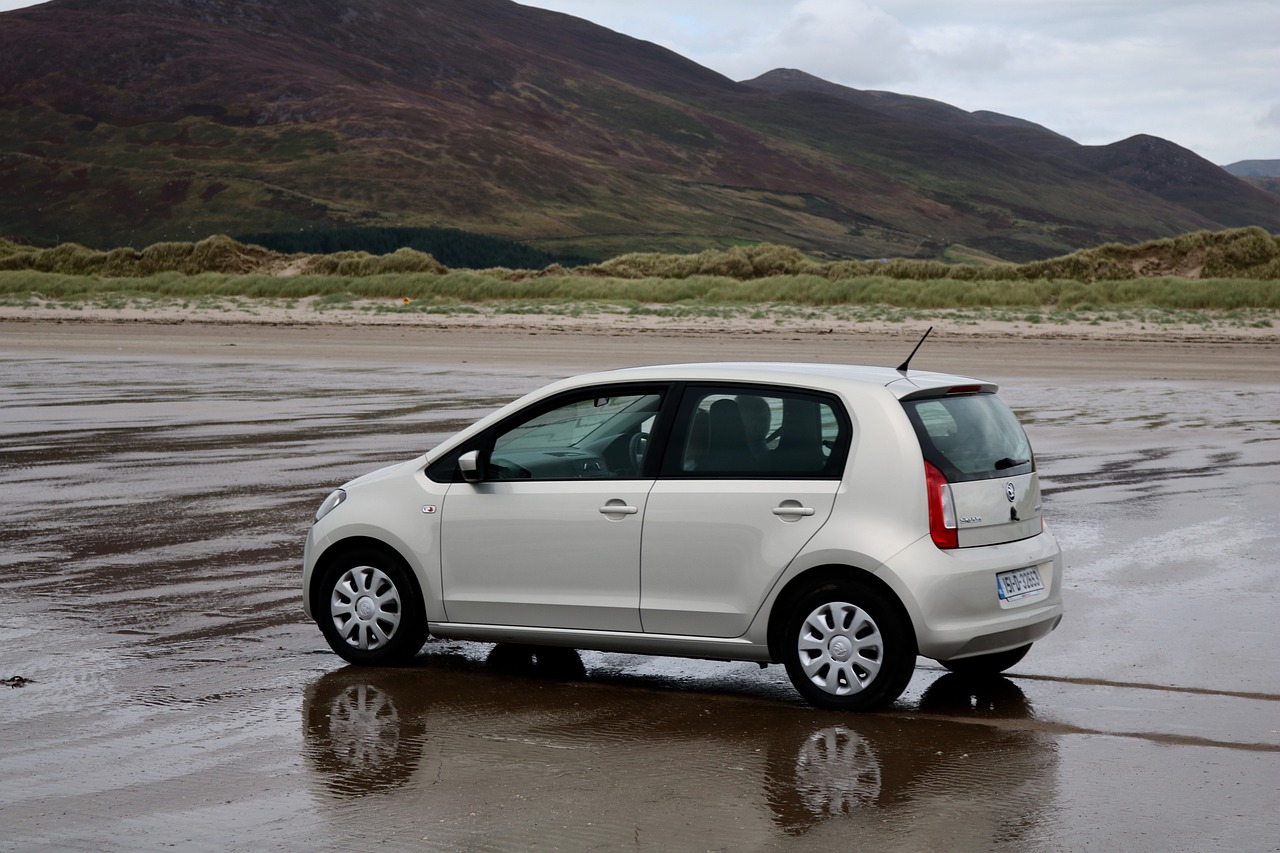 龍桑高速2017年最新進(jìn)展報(bào)告揭秘，最新動(dòng)態(tài)與成果概覽