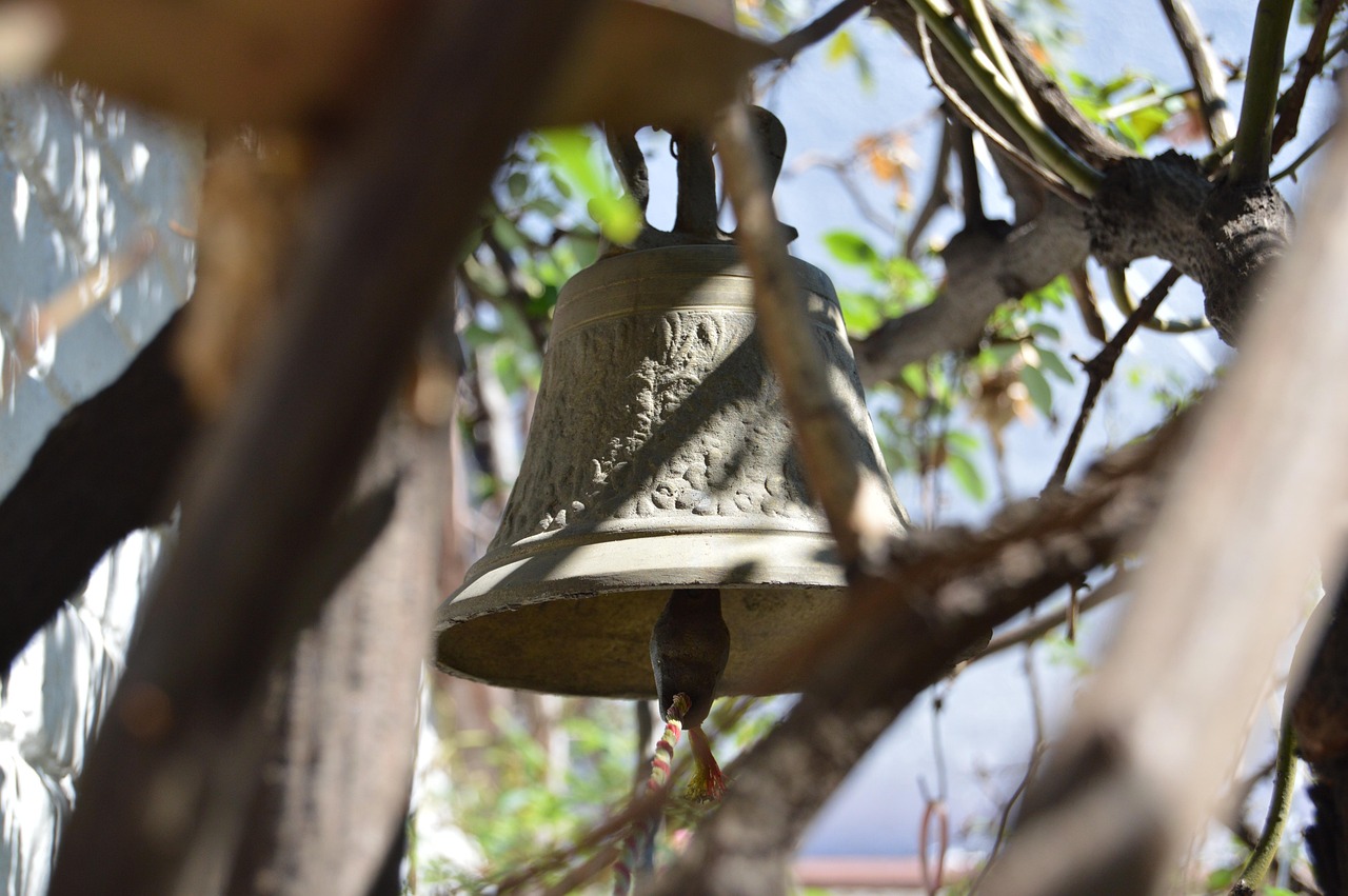 南京郵幣卡市場(chǎng)最新動(dòng)態(tài)解析與消息速遞