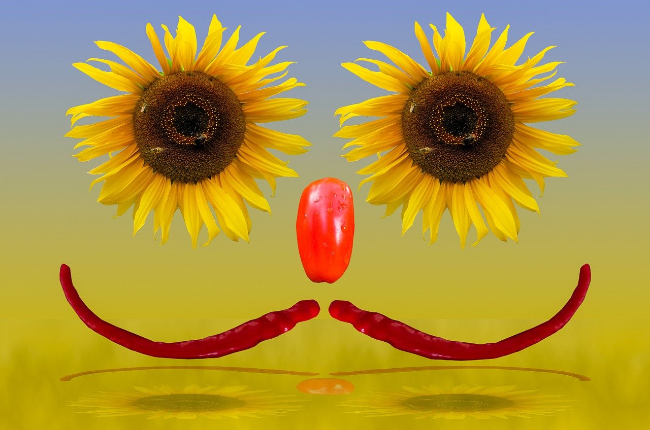 尼卡夏至新篇章開啟