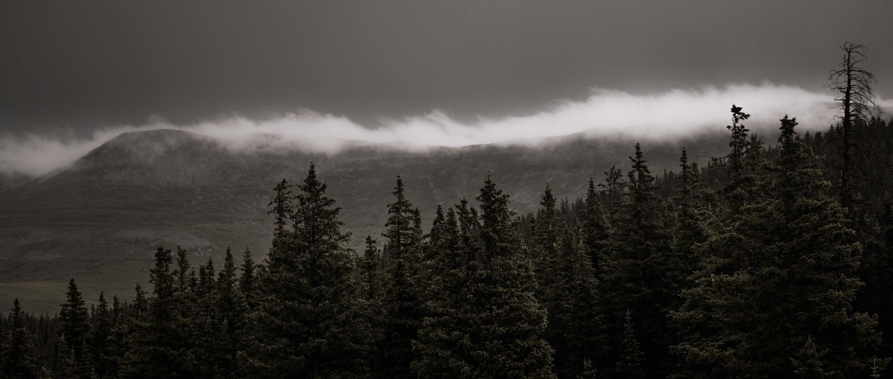 寧洛高鐵最新進(jìn)展、影響與展望，動(dòng)態(tài)更新速遞