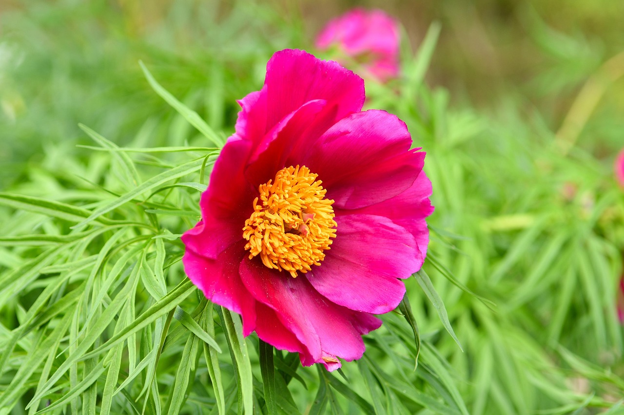 許昕賽場熱血奮斗，最新動態(tài)與榮耀時刻回顧