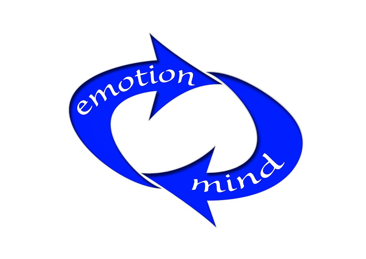 迪比科上市，探索企業(yè)成長(zhǎng)之路，迎接資本市場(chǎng)新機(jī)遇