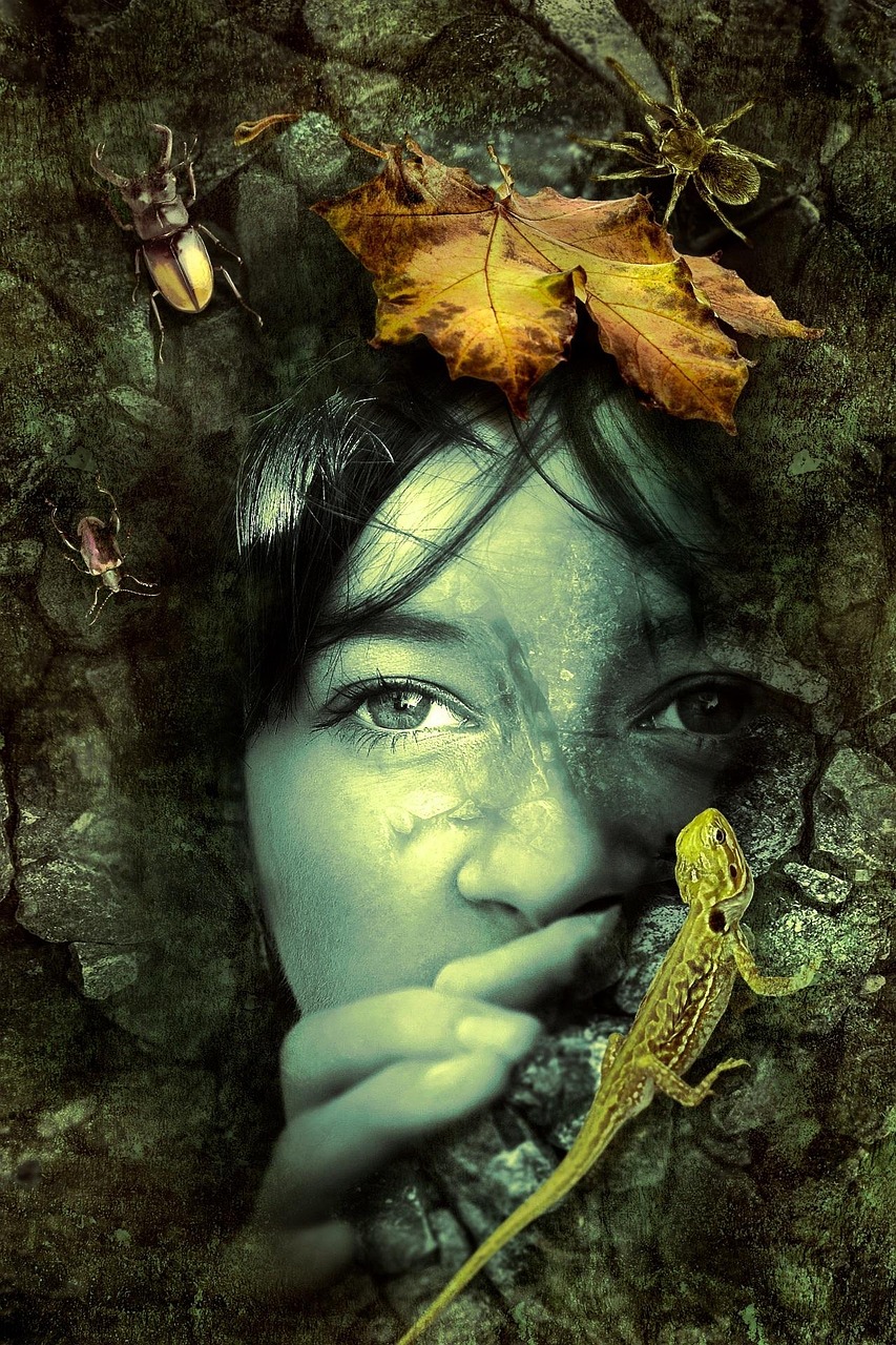 圣墟新篇章，揭開未知世界的神秘面紗