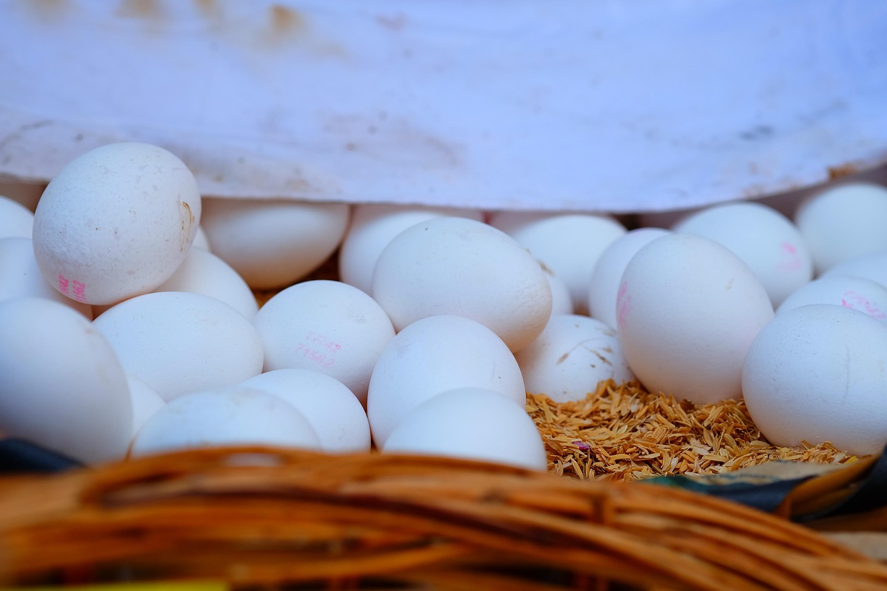 磷礦石最新價(jià)格動(dòng)態(tài)分析與趨勢(shì)預(yù)測(cè)