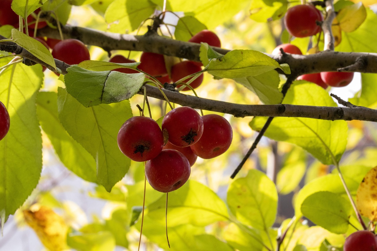 播州區(qū)蓬勃發(fā)展新篇章的最新動(dòng)態(tài)