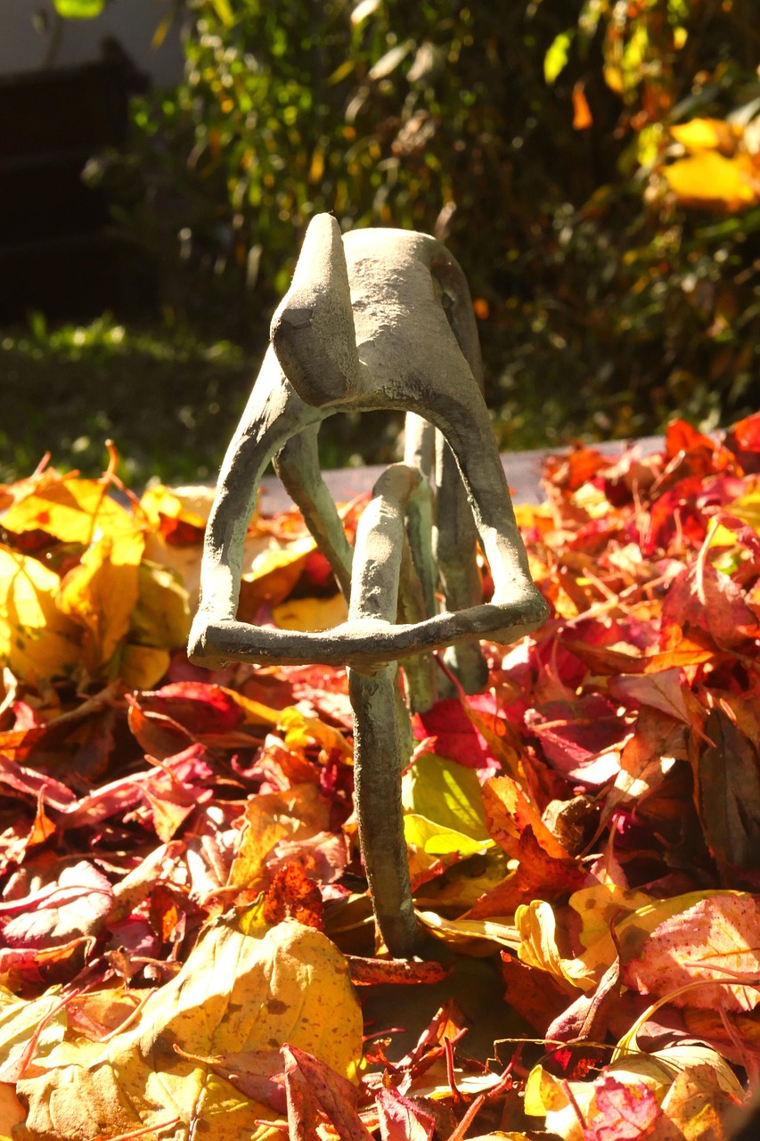 全球視角下的疫情動(dòng)態(tài)更新情況