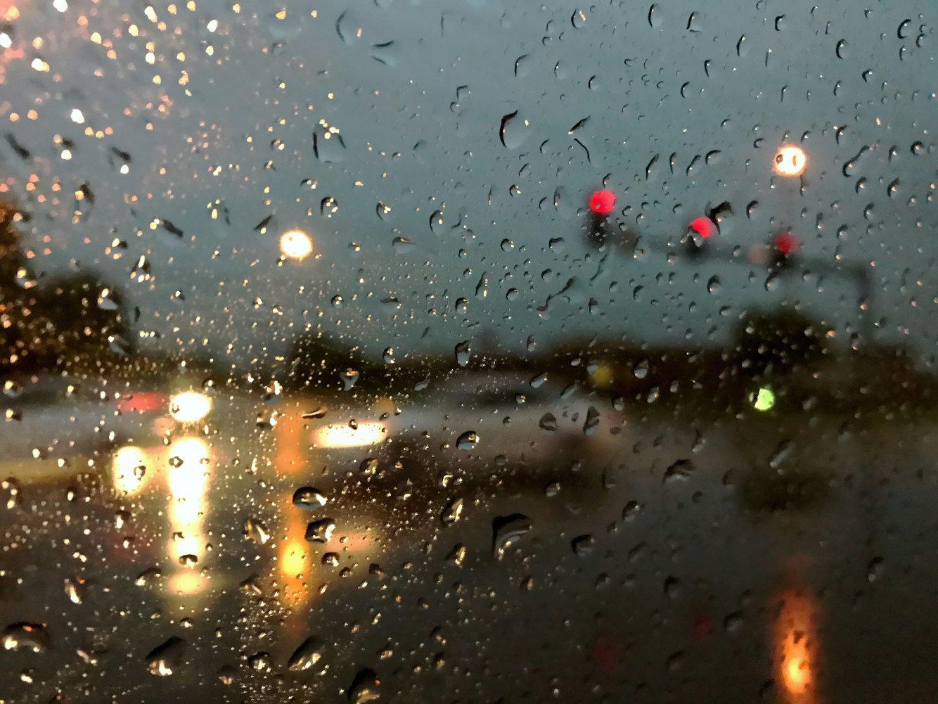 沙小僧最新動態(tài)，探索未知，勇往直前