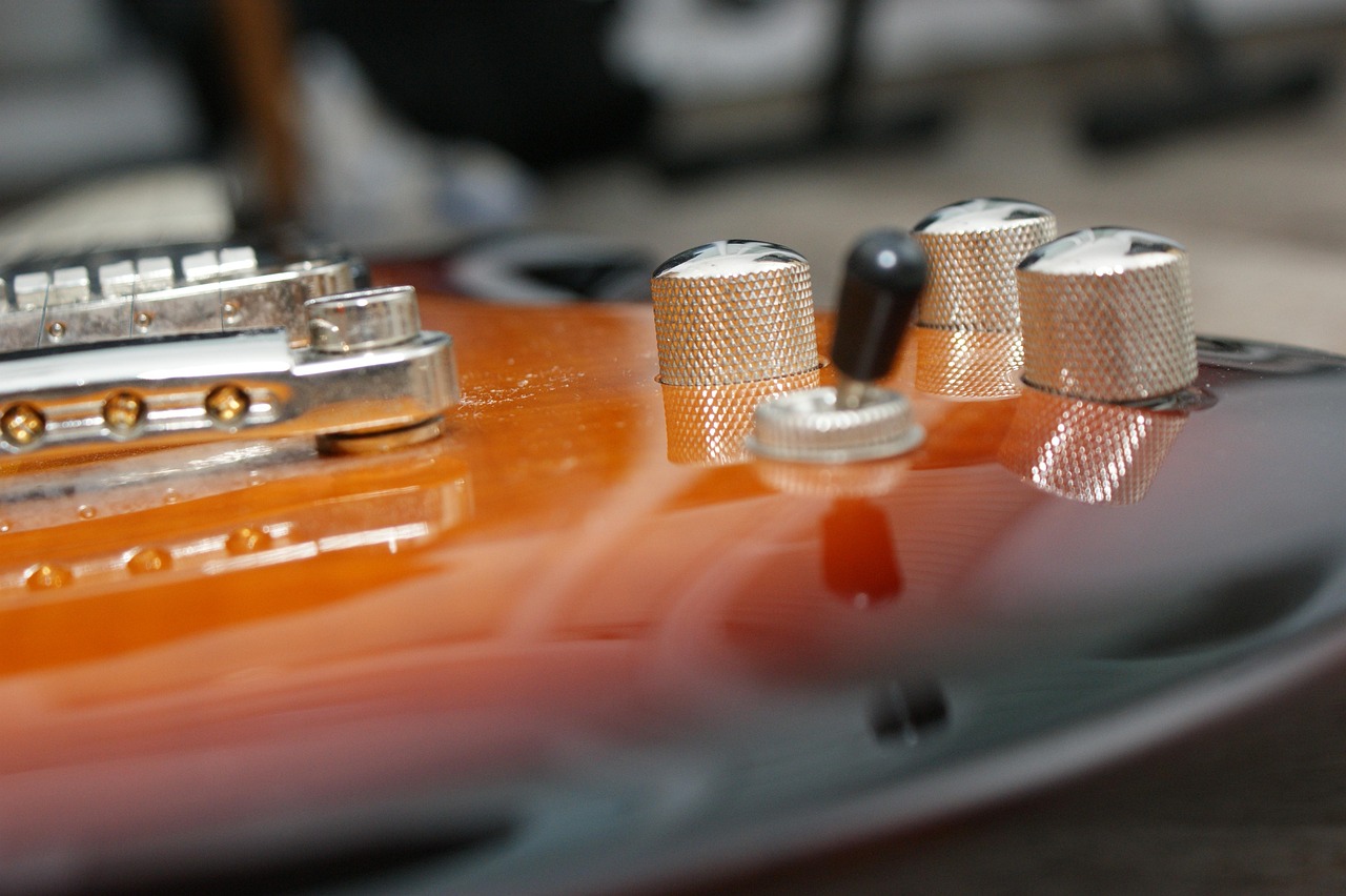 最新貝殼甲研究與應(yīng)用進(jìn)展