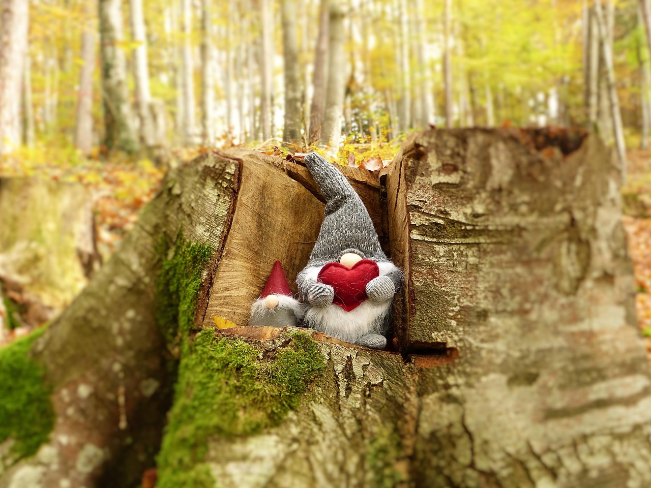 李保國(guó)電影，時(shí)代精神與感人故事的完美融合