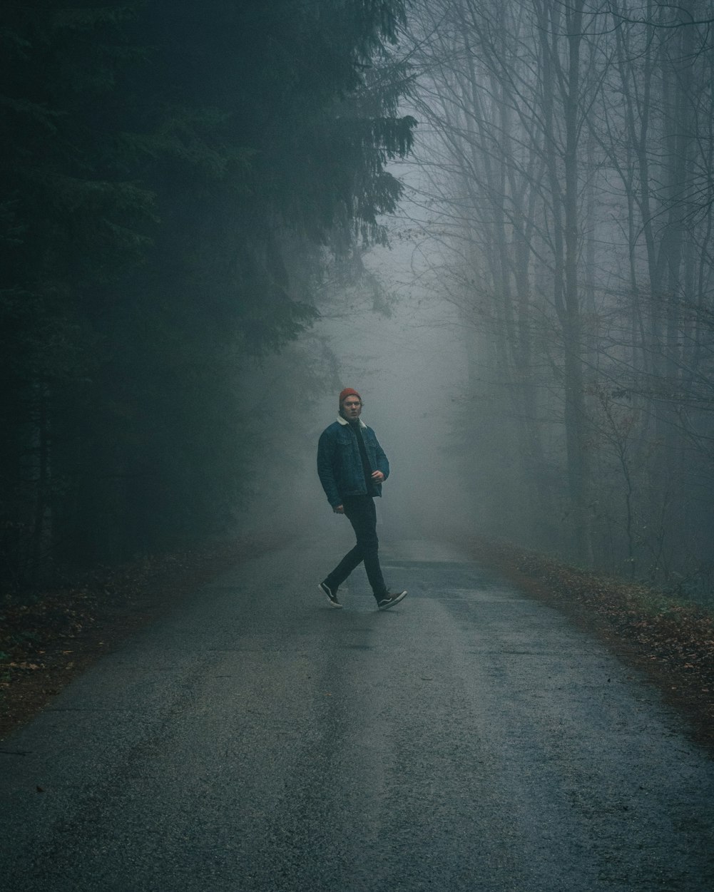 農(nóng)業(yè)最新動態(tài)，引領(lǐng)農(nóng)業(yè)現(xiàn)代化新浪潮發(fā)展