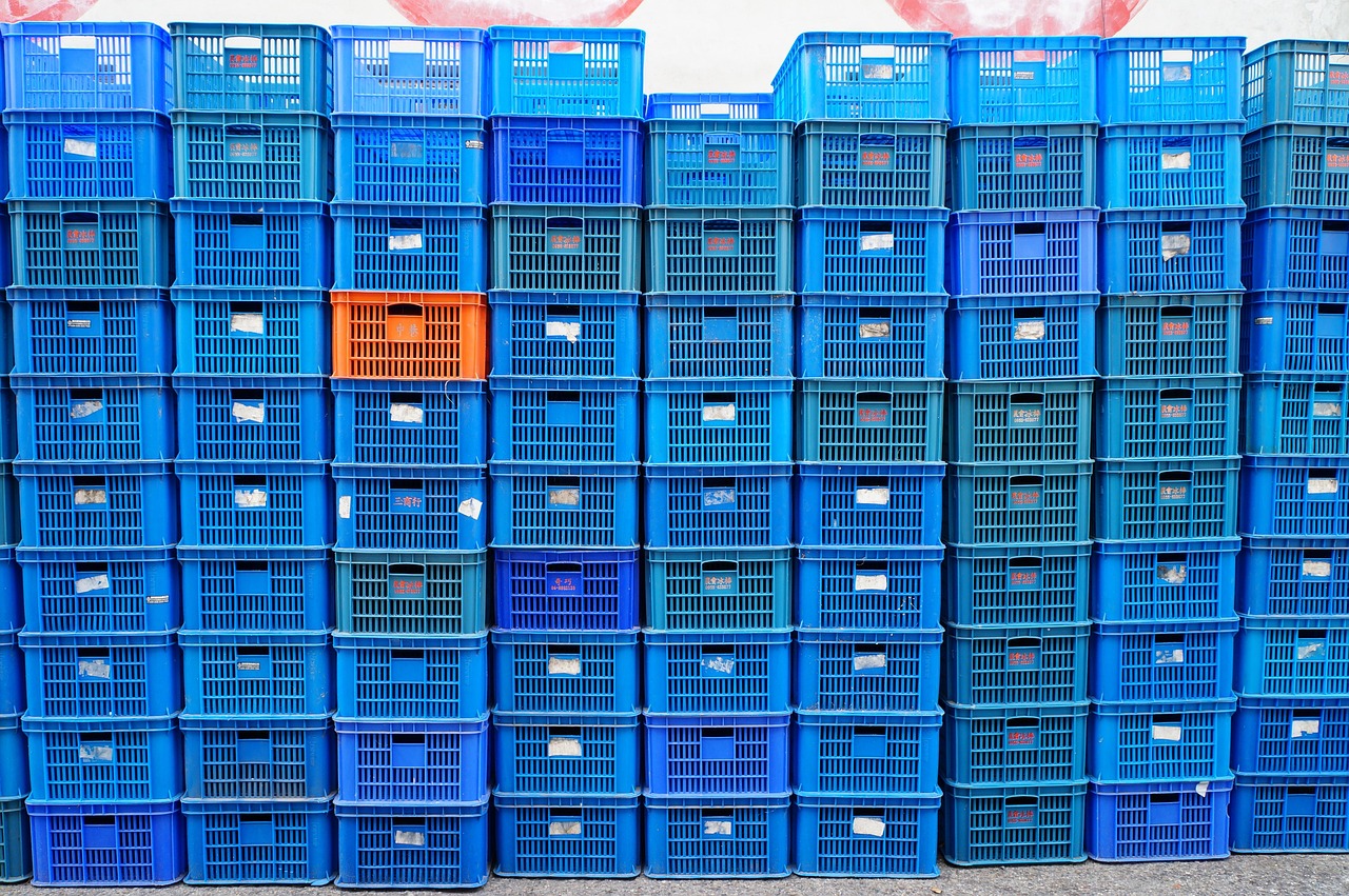 最新院校動態(tài)引領(lǐng)教育創(chuàng)新，塑造未來人才新篇章