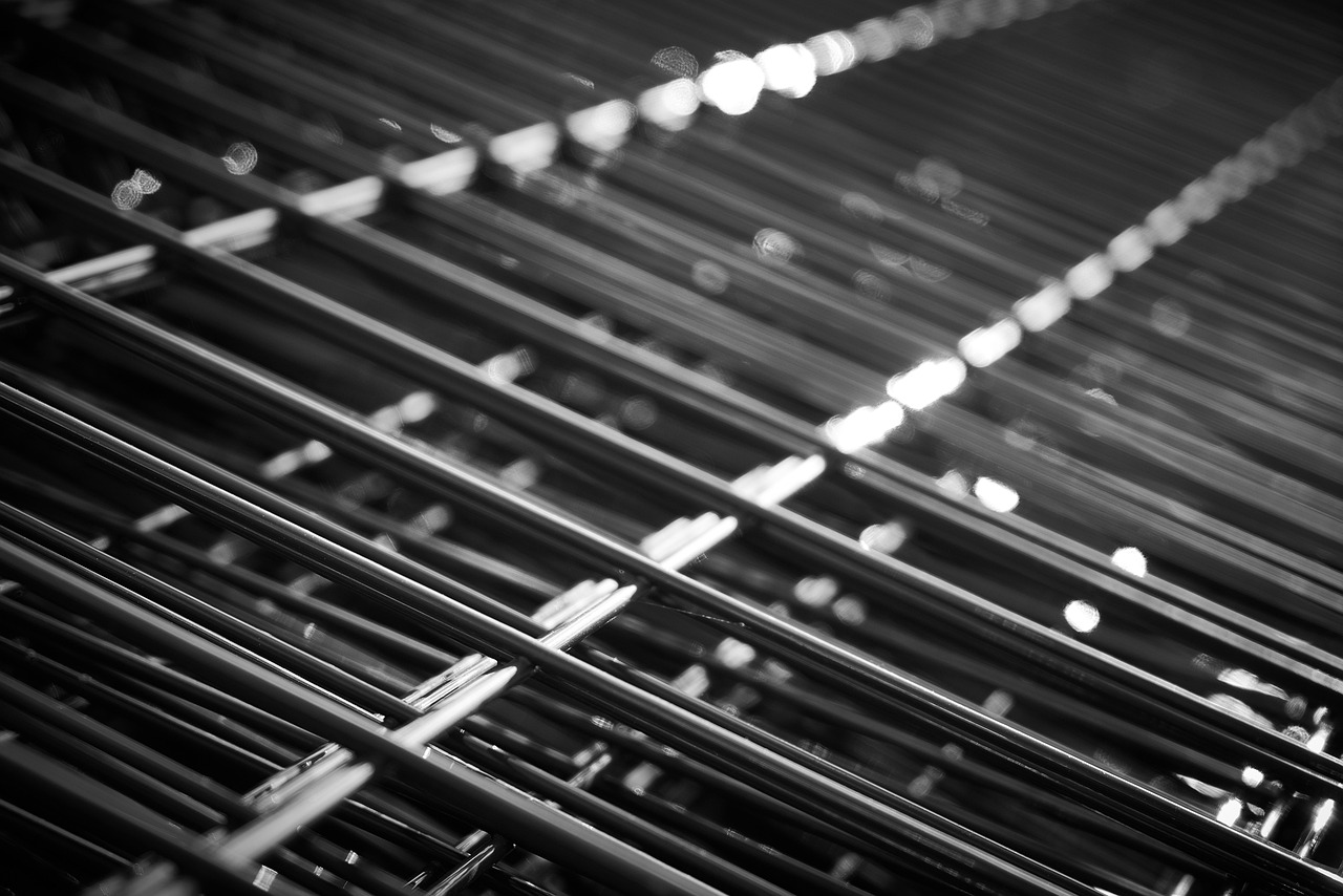 新疆紅棗價格行情分析與趨勢預測