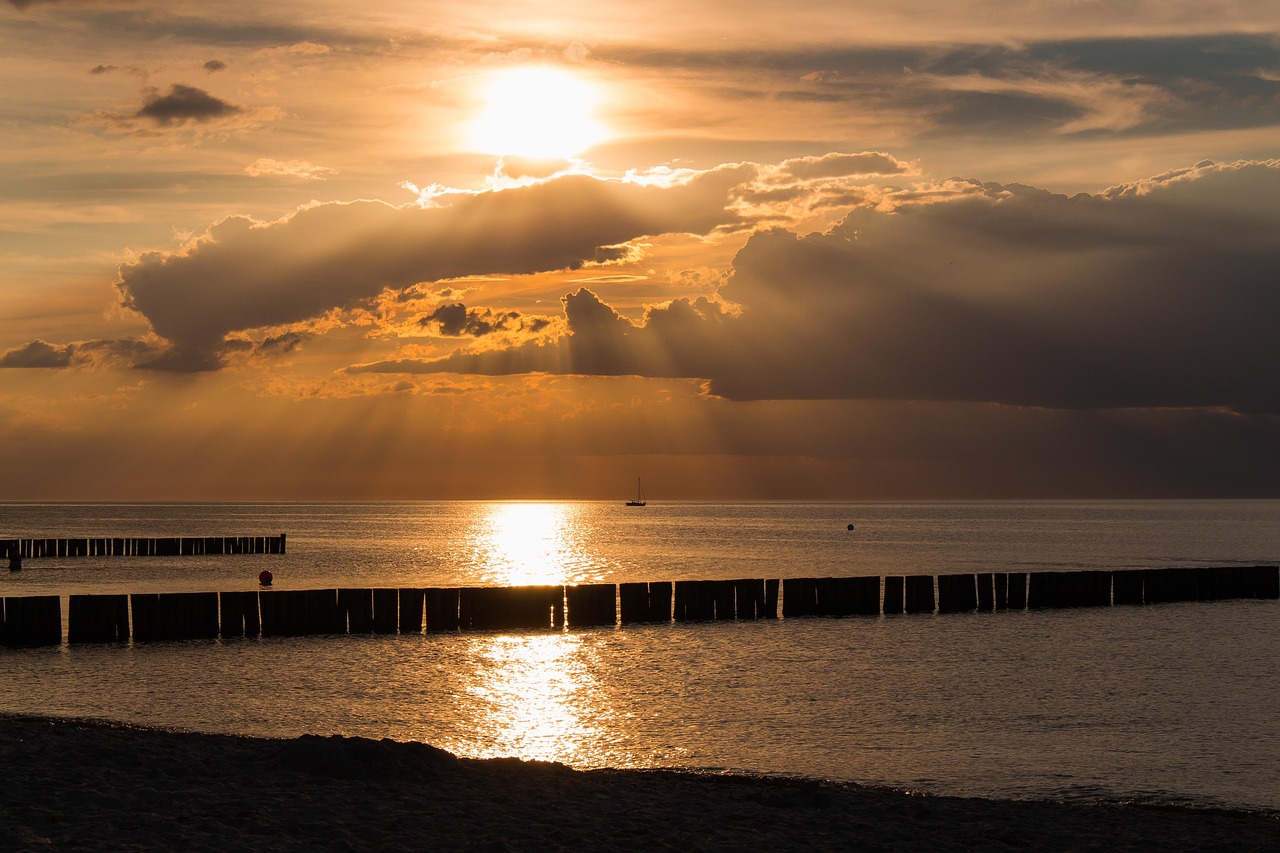 娛樂直播盛宴前瞻，最新動(dòng)態(tài)與前沿直播預(yù)告一網(wǎng)打盡