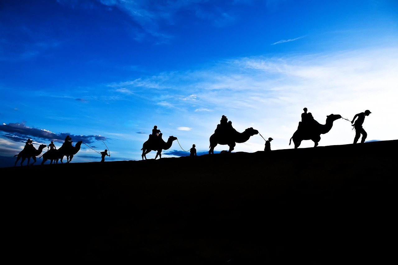 探索2017年度熱門(mén)廣場(chǎng)舞的魅力，舞動(dòng)新時(shí)代